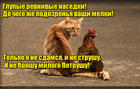 https://lolkot.ru/2016/03/22/kuritsy-revnivyye/