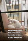 https://lolkot.ru/2025/05/12/kusachaya-lyubov/