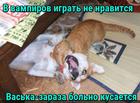 https://lolkot.ru/2016/04/08/kusyuchiy-vampirenok/