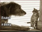 https://lolkot.ru/2011/09/21/ladno/