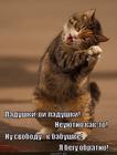 https://lolkot.ru/2015/10/10/ladushki-u-babushki/