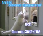 https://lolkot.ru/2013/06/20/lavochka-zakryta/