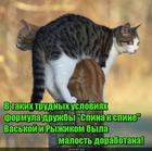 https://lolkot.ru/2016/06/21/layfhak/