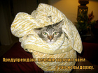 https://lolkot.ru/2011/05/24/lecheniye-chayem/