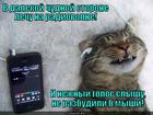https://lolkot.ru/2013/01/30/lechu-na-radiovolne/
