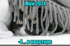 https://lolkot.ru/2024/05/15/ledyanaya-letopis/