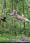 https://lolkot.ru/2010/06/08/letayut-vse/