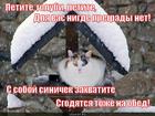 https://lolkot.ru/2013/01/21/letite-golubi-letite/