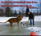 https://lolkot.ru/2014/12/02/lev-ispugalsya/