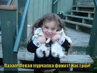 https://lolkot.ru/2011/11/27/levaya-murchalka/