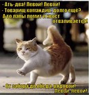 https://lolkot.ru/2012/01/09/levoy-levoy/