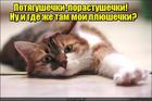 https://lolkot.ru/2016/05/26/lezhu-v-napravlenii-mechty/