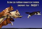 https://lolkot.ru/2012/09/03/lider/