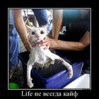 https://lolkot.ru/2012/02/20/life-ne-vsegda-kayf/