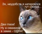 https://lolkot.ru/2013/12/02/lishniy-glaz/