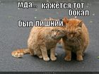 https://lolkot.ru/2012/08/27/lishniy/