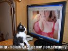 https://lolkot.ru/2010/10/01/lolgirl-ru/
