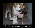 https://lolkot.ru/2012/01/16/lolkot-tolko-dlya-kote/
