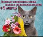 https://lolkot.ru/2015/03/08/lolkot-ru-pozdravlyayet-nashih-milyh-i-talantlivyh-zhenschin-s-8-marta/
