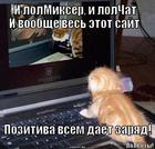 https://lolkot.ru/2010/12/29/lolmikser-i-lolchat/