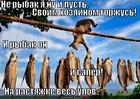 https://lolkot.ru/2013/11/11/lotstsa-dritstsa-lotstsa-tsa/