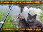 https://lolkot.ru/2024/08/31/lovlya-na-hrapachka/