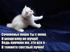https://lolkot.ru/2017/05/17/luchik-sveta/