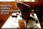 https://lolkot.ru/2011/11/22/luchshe-kolbasu/