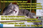 https://lolkot.ru/2012/07/25/luchshiy-drug-3/