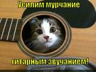 https://lolkot.ru/2014/02/21/luchshiy-gitarnyy-usilitel/