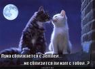 https://lolkot.ru/2011/03/18/luna-sblizhayetsya-s-zemley/