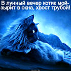https://lolkot.ru/2012/09/12/lunnyy-vecher/