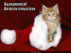 https://lolkot.ru/2015/07/30/lupoglazka/