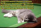 https://lolkot.ru/2013/02/17/luzer/