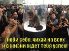 https://lolkot.ru/2012/08/29/lyubi-sebya/