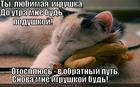 https://lolkot.ru/2013/03/15/lyubimaya-igrushka/