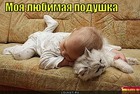 https://lolkot.ru/2011/11/09/lyubimaya-podushka/