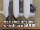 https://lolkot.ru/2012/04/03/lyubimyy-batarey/