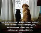 https://lolkot.ru/2025/02/20/lyubimyye-podzhidateli/