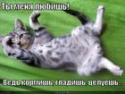 https://lolkot.ru/2012/08/31/lyubish/