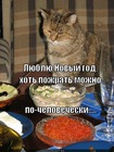 https://lolkot.ru/2012/07/16/lyublyu-novyy-god/