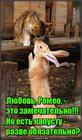https://lolkot.ru/2015/12/29/lyubov-k-kapuste/