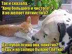 https://lolkot.ru/2016/02/19/lyubov-ne-za-vneshnost/