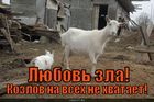 https://lolkot.ru/2010/11/12/lyubov-zla-4/