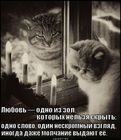 https://lolkot.ru/2011/10/19/lyubov-%e2%80%94-odno-iz-zol/