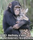 https://lolkot.ru/2011/08/20/lyubov-2/
