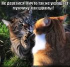 https://lolkot.ru/2014/12/13/makiyazh-na-vsyu-zhizn/
