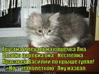 https://lolkot.ru/2015/09/12/mala-yesche/