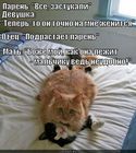https://lolkot.ru/2012/03/19/malchiku-neudobno/