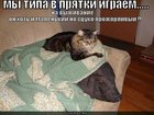 https://lolkot.ru/2011/03/19/malenkiy-i-prozhorlivyy/